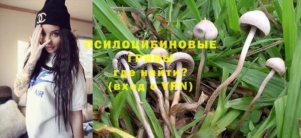 ПСИЛОЦИБИНОВЫЕ ГРИБЫ Коряжма