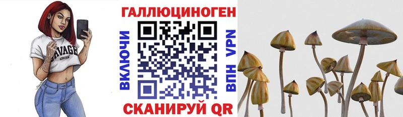 Галлюциногенные грибы мухоморы  Купить где  Сурск 